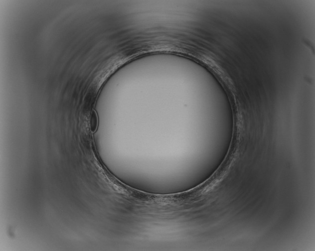 X0000101220993200807181548