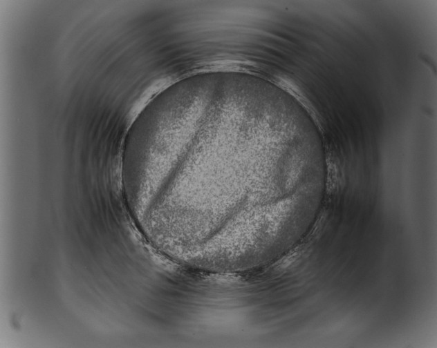 X0000101220994200807181548