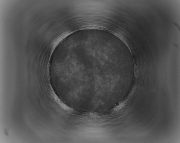 X0000101220995200807181548