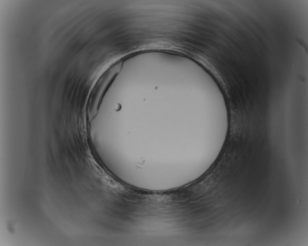 X0000101220996200807181548