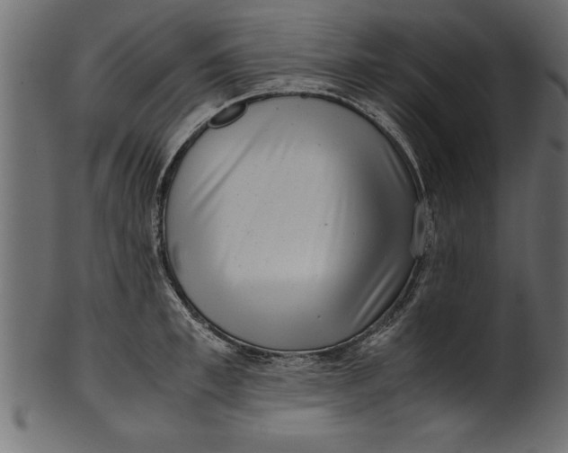 X0000101220997200807181548