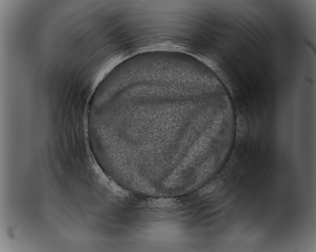 X0000101220998200807181548