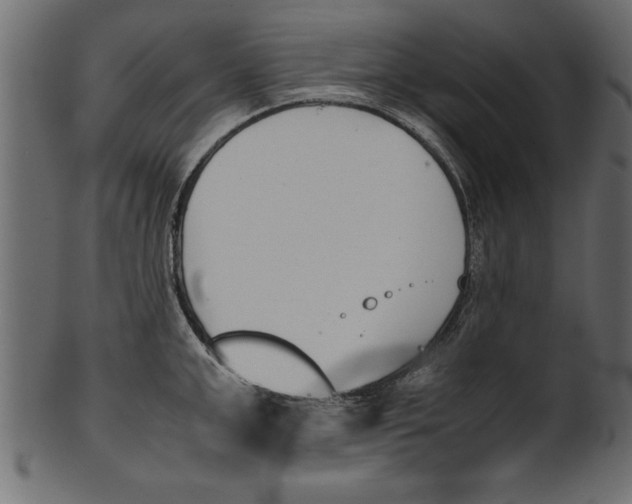 X0000101220999200807181548