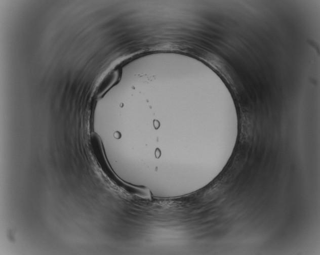 X0000101221000200807181548