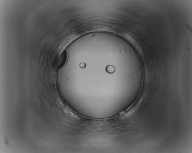 X0000101221001200807181548