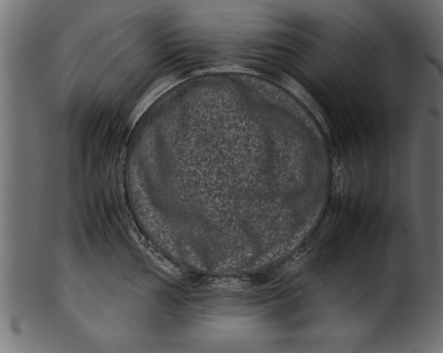 X0000101221002200807181548