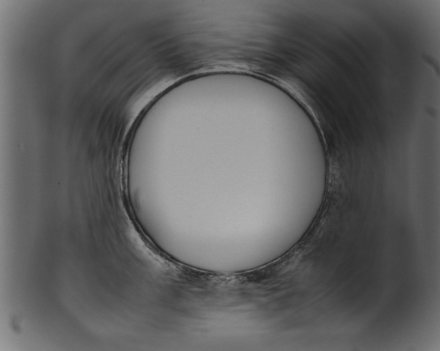 X0000101221003200807181548