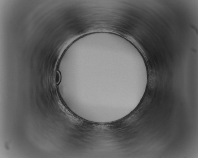 X0000101221004200807181548