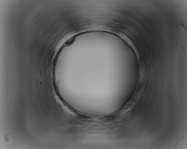 X0000101221005200807181548