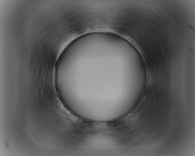 X0000101221006200807181548