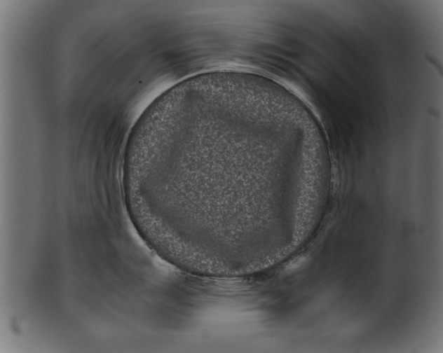X0000101221007200807181547