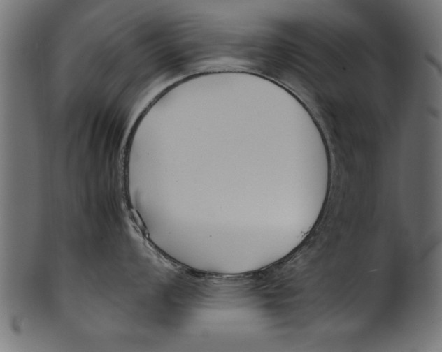 X0000101221008200807181547