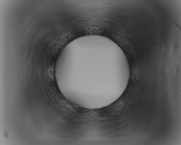 X0000101221010200807181547