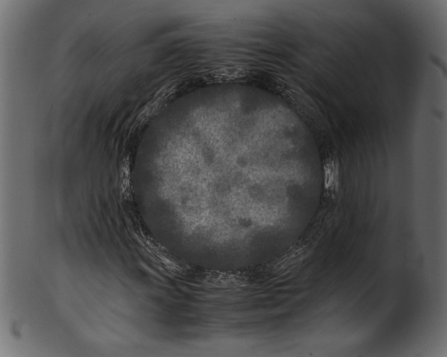 X0000101221011200807181547
