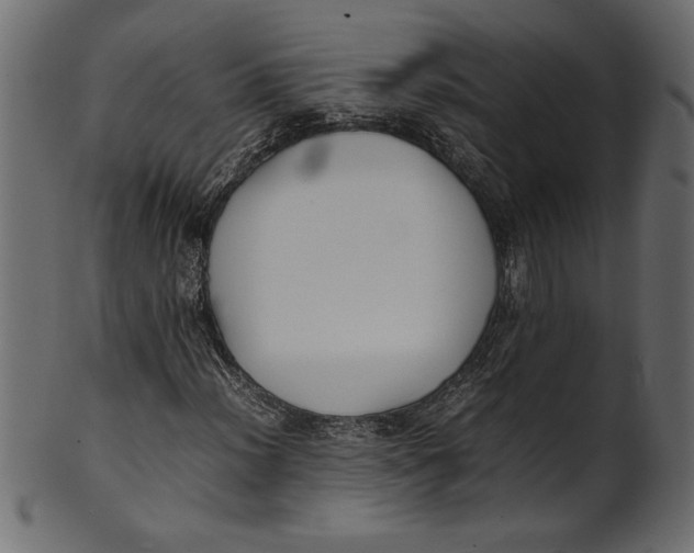 X0000101221012200807181547