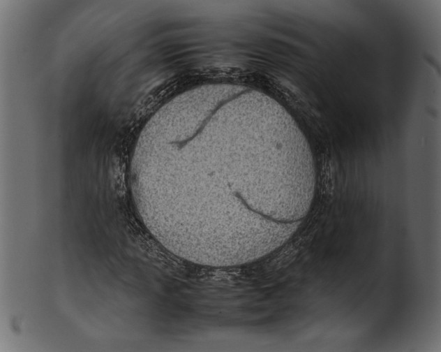 X0000101221013200807181547