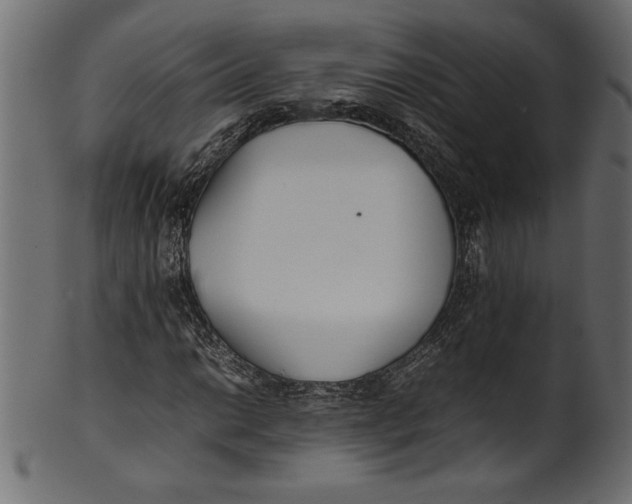 X0000101221014200807181547