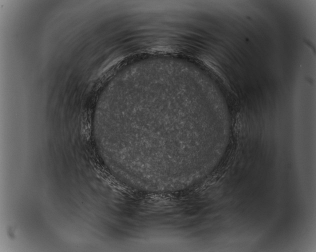 X0000101221015200807181547