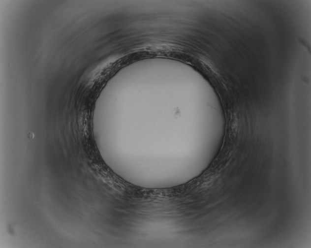 X0000101221016200807181547