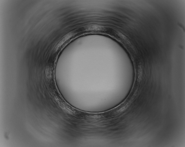 X0000101221017200807181547