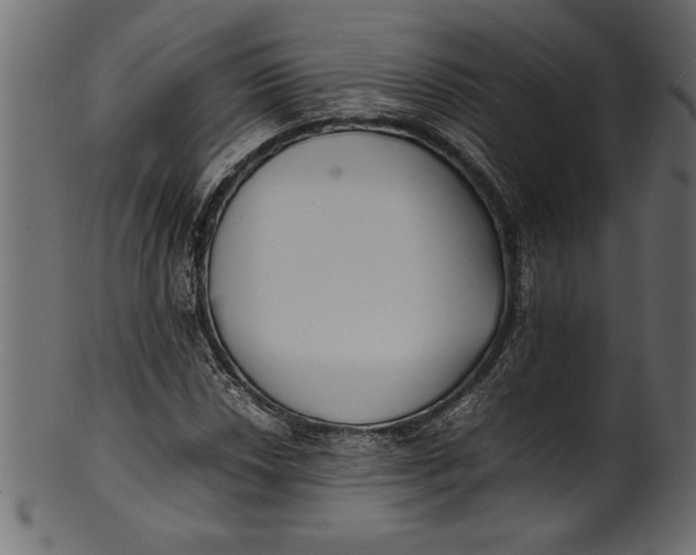 X0000101221018200807181547