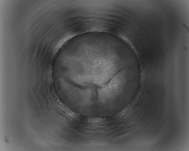 X0000101221019200807181547