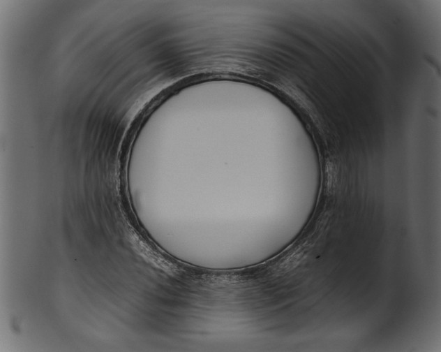 X0000101221020200807181547
