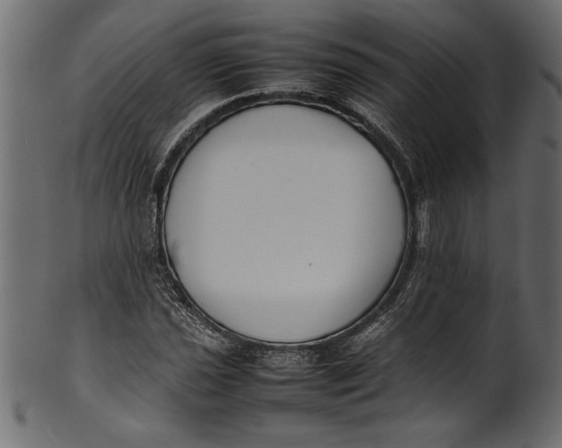 X0000101221021200807181547