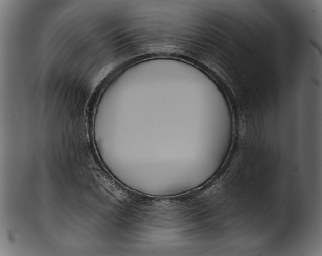 X0000101221022200807181547