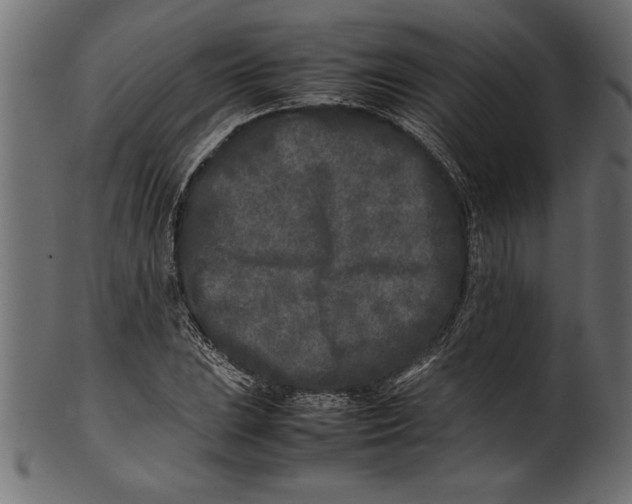 X0000101221023200807181547