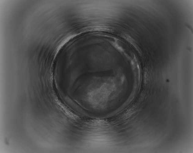 X0000101221024200807181547