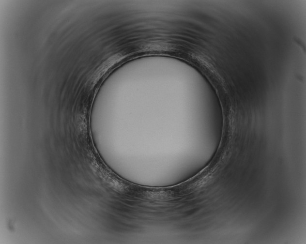 X0000101221025200807181547