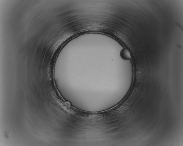 X0000101221026200807181547