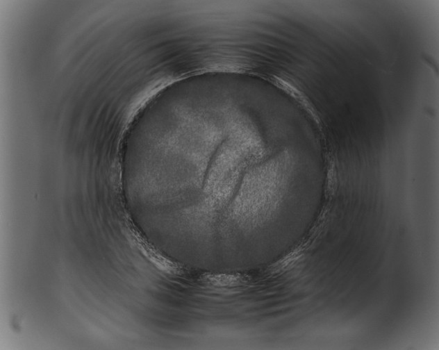 X0000101221027200807181547