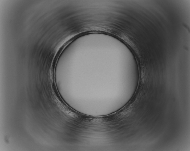 X0000101221028200807181547