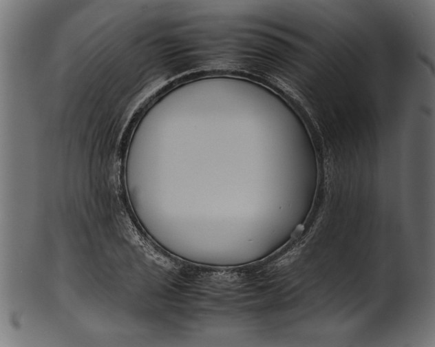 X0000101221029200807181547