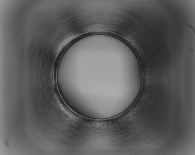 X0000101221030200807181547