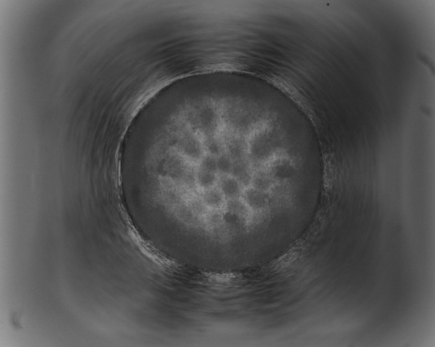 X0000101221031200807181547