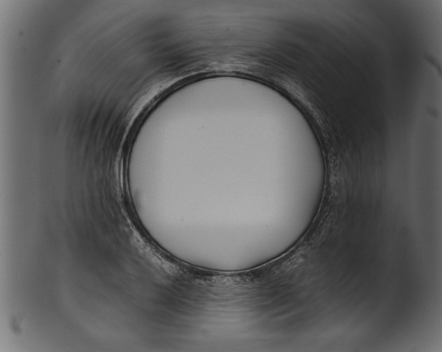 X0000101221032200807181547