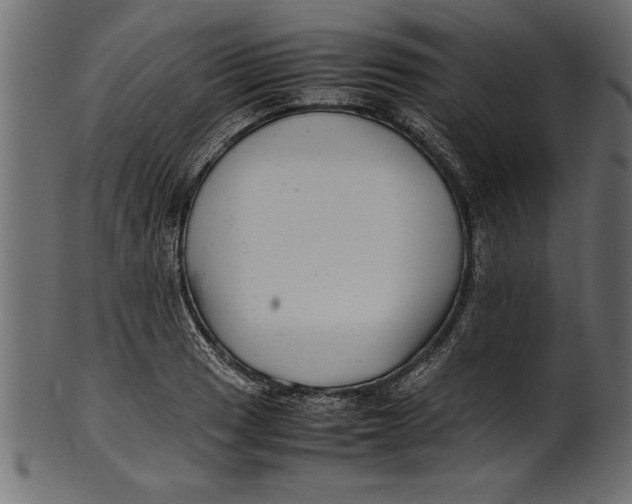 X0000101221033200807181547