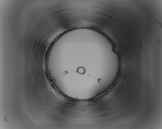 X0000101221034200807181547