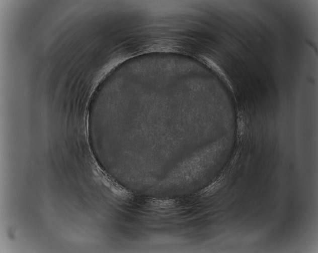 X0000101221035200807181547