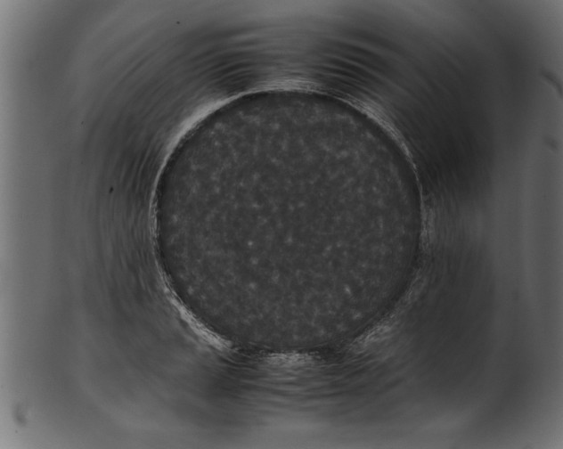 X0000101221037200807181547