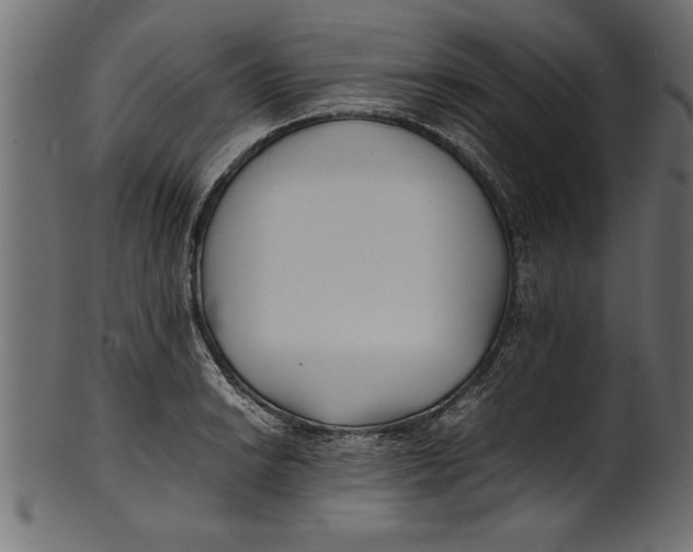 X0000101221038200807181547