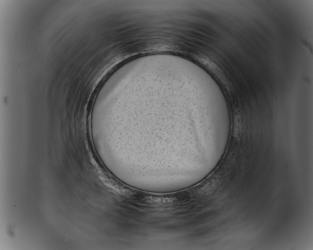 X0000101221039200807181547