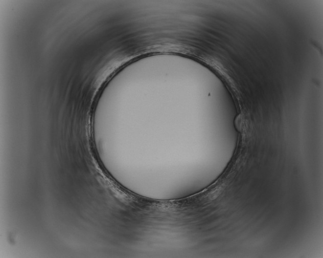 X0000101221040200807181547