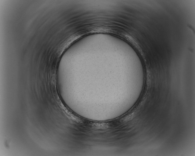 X0000101221041200807181547