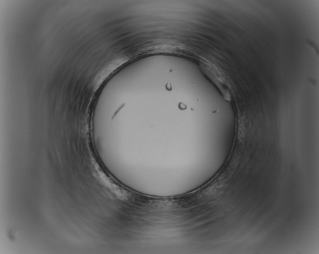 X0000101221042200807181547