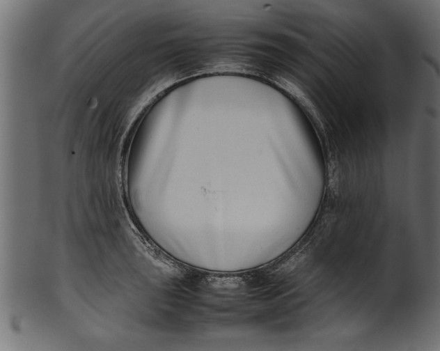 X0000101221043200807181547