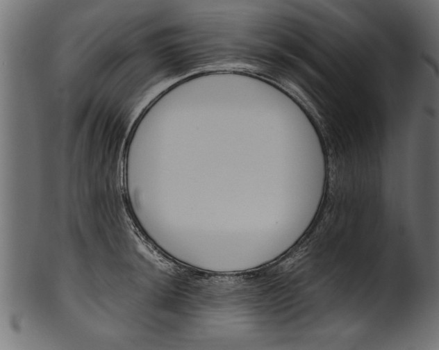 X0000101221044200807181547